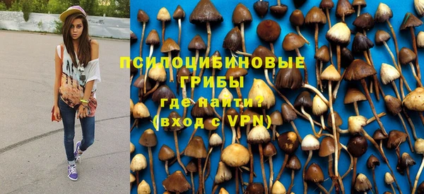 ПСИЛОЦИБИНОВЫЕ ГРИБЫ Медногорск