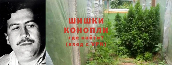 мдпв Мегион