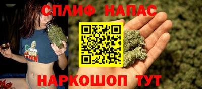 индика Славянск-на-Кубани