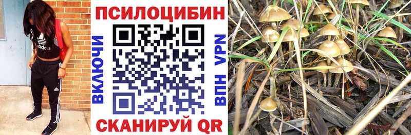 Галлюциногенные грибы MAGIC MUSHROOMS  закладка  Новочеркасск 