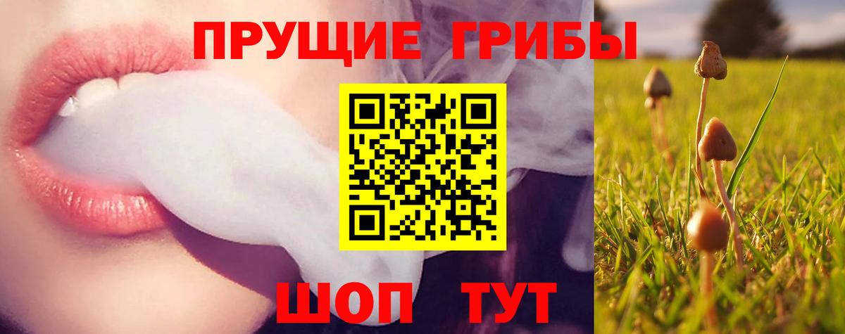 Псилоцибиновые грибы Psilocybe  Вход с VPN  где купить   Новочеркасск 
